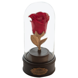 RED PRESERVED ROSE | BEAUTY AND THE BEAST MUSIC GLOBE