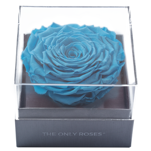 Blue Mega Preserved Rose | Crystalline Rose Box