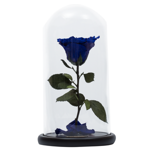 Royal Blue Heart Shape Preserved Rose | Beauty and The Beast Glass Dome