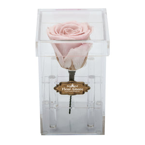BABY PINK PRESERVED ROSE | PETITE ACRYLIC ROSE BOX