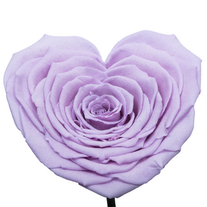 Purple with Crystal Dust Heart Shape Preserved Rose | Beauty and The Beast Glass Dome