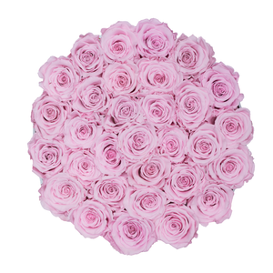 Baby Pink Preserved Roses | Medium Round White Huggy Rose Box