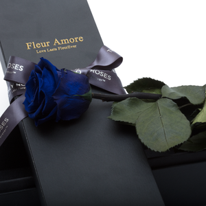 The Only | 1 Royal Blue Preserved Long Stem Rose Bouquet